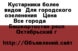 Кустарники более 100 видов. Для городского озеленения › Цена ­ 70 - Все города  »    . Башкортостан респ.,Октябрьский г.